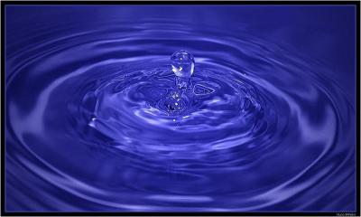 DONDE DIJE DIGO AHORA DIGO DIEGO