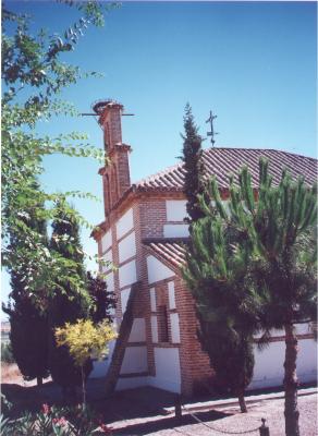 Leido hoy en Foro Ciudad - El Carpio de Tajo
